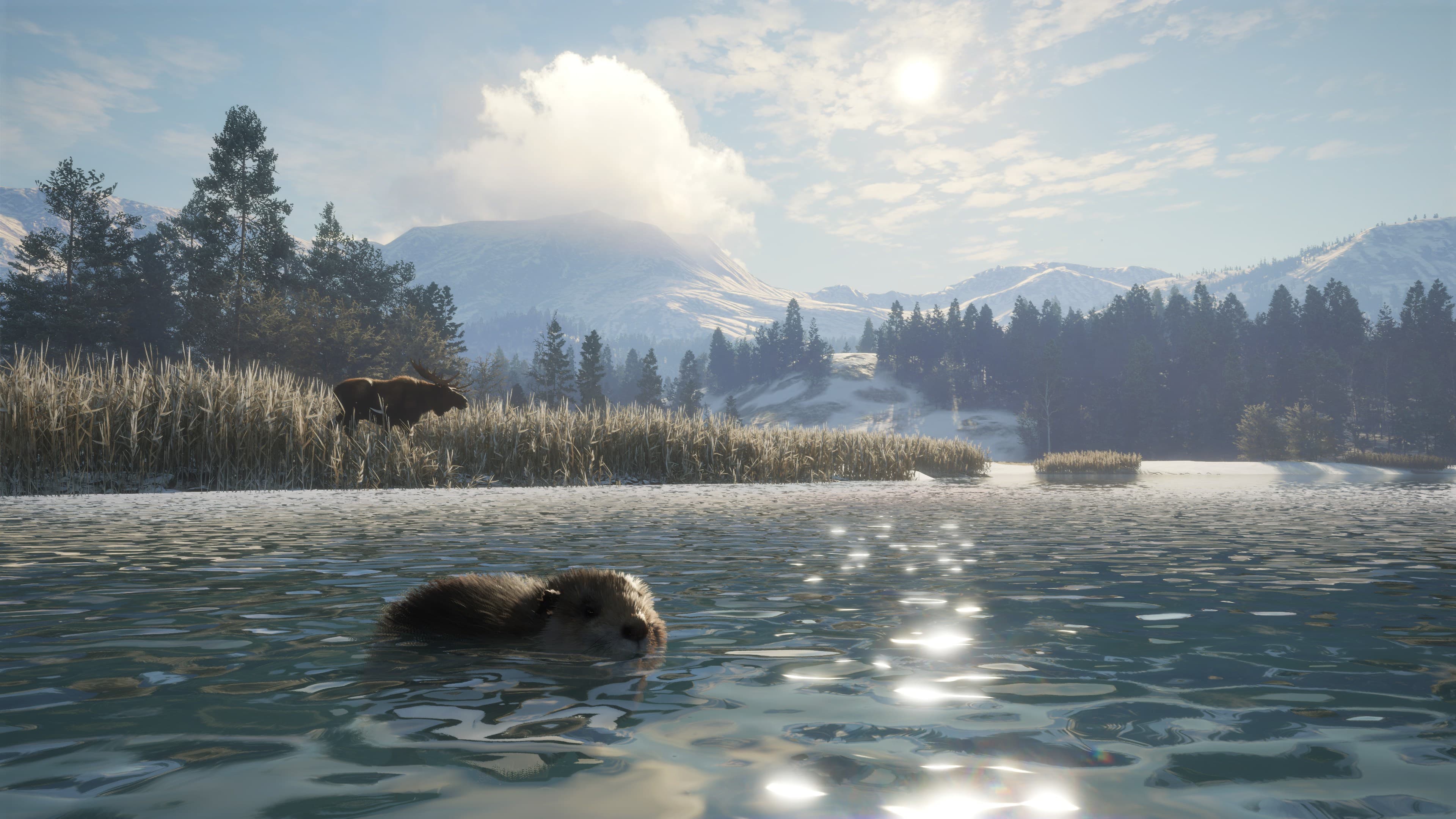 THEHUNTER CALL OF THE WILD™ - ALBERTA HUNTING PRESERVE - Screenshot 1