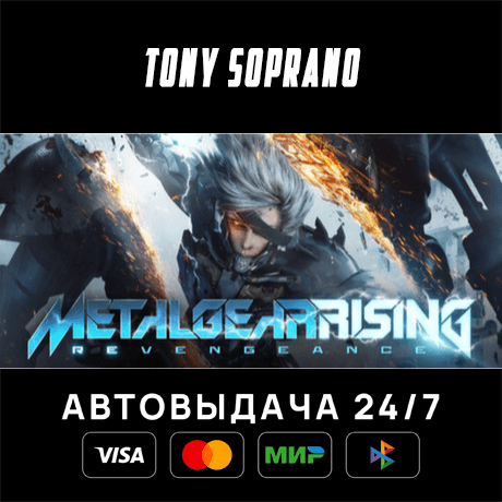 Metal Gear Rising STEAM GIFT - Screenshot 1