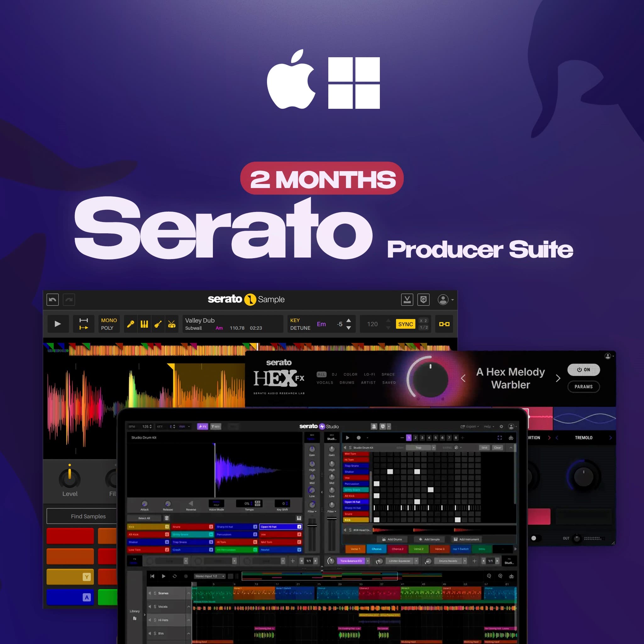 🟣 Serato Producer Suite 1-2 МЕСЯЦА ✅ РАБОТАЕТ В РФ 🚀 - Screenshot 1