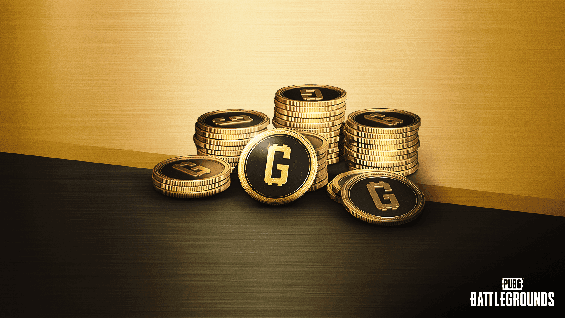 PUBG 300 G Coin (PC - Steam) - Screenshot 1