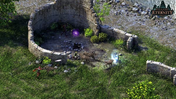 Pillars of Eternity-Definitive Edition + 900 ИГР STEAM АККАУНТ - Screenshot 1