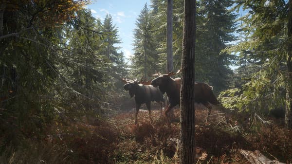 theHunter: Call of the Wild + 1200 GAMES STEAM ACCOUNT - Screenshot 1