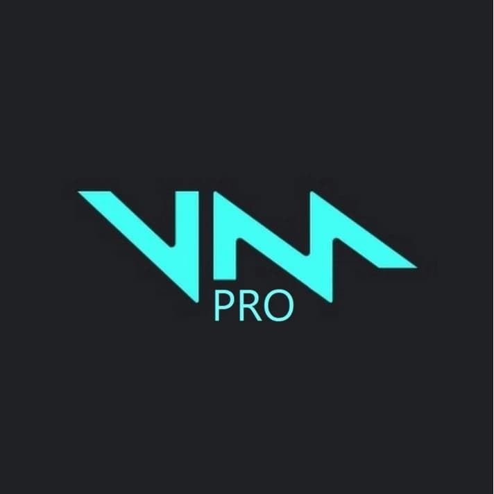 VOICEMOD PRO (Lifetime) - License Key / Global License - Screenshot 1