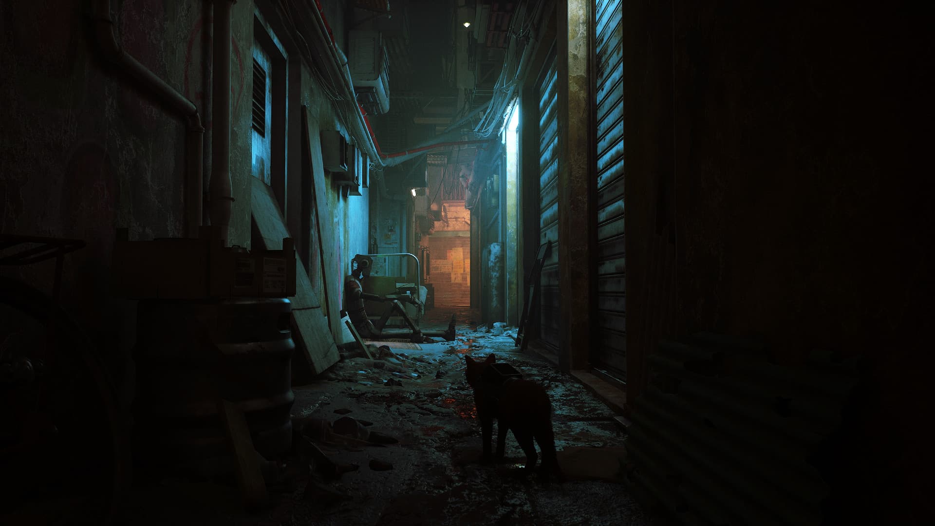 ✅STRAY 🌍 STEAM•RU|KZ|UA|TR|AG 🚀 - Screenshot 1