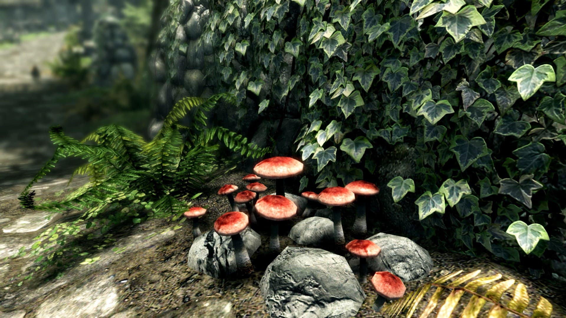 ❗THE ELDER SCROLLS V SKYRIM SPECIAL ❗XBOX ONE|X/S🔑КЛЮЧ - Screenshot 1
